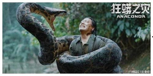 狂蟒之灾爆料视频大全下载,惊悚瞬间尽收眼底