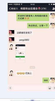 龙珠传奇在线观看 仔仔,仔仔演绎热血传奇，在线观看燃情再现