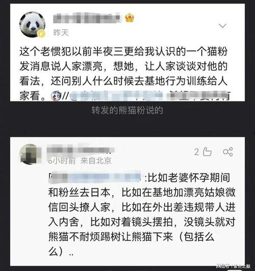 网红吃瓜事件聊天记录,聊天记录揭露惊人内幕
