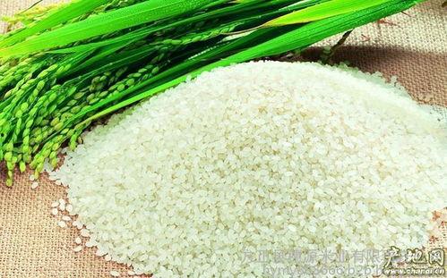 绿色大米爆料方法视频,跟随视频学习环保种植新方法
