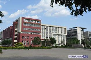 忻州师院爆料视频大全下载,揭秘校园热点事件