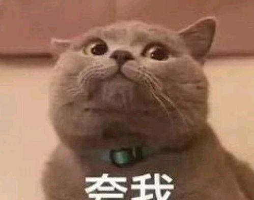 网红吃瓜表情包是谁发的,是谁引发了全民狂欢？