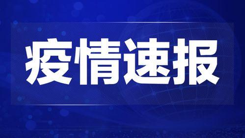 甘肃爆料热点新闻视频,揭秘当地最新动态与焦点事件