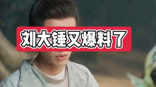 娱乐爆料大锤视频大全最新,揭秘最新视频大全精彩瞬间