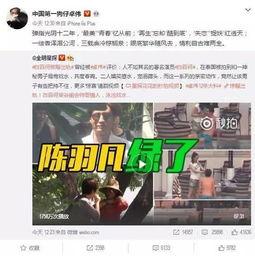 真心爆料事件视频大全,真心爆料事件视频大全深度解析