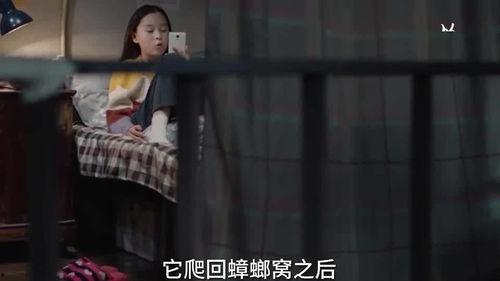 爆料山风姐姐视频大全集,揭秘视频大全集背后的传奇人生